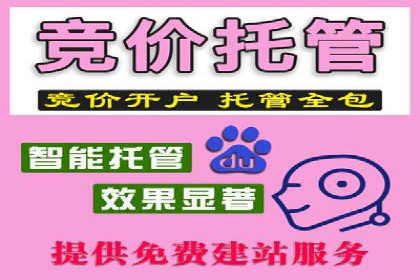案例解读：信息流代理在电商领域的应用